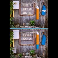 Find The Difference Fovere